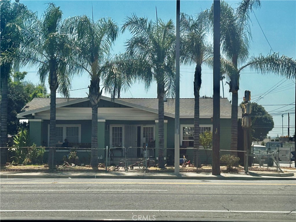 a view of a city street from a palm tree