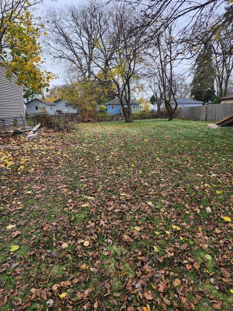 a view of a yard with a tree