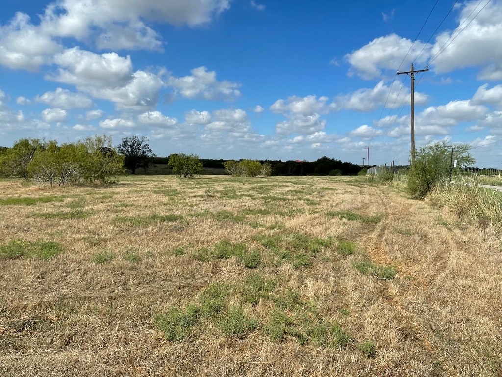 a view of a yard