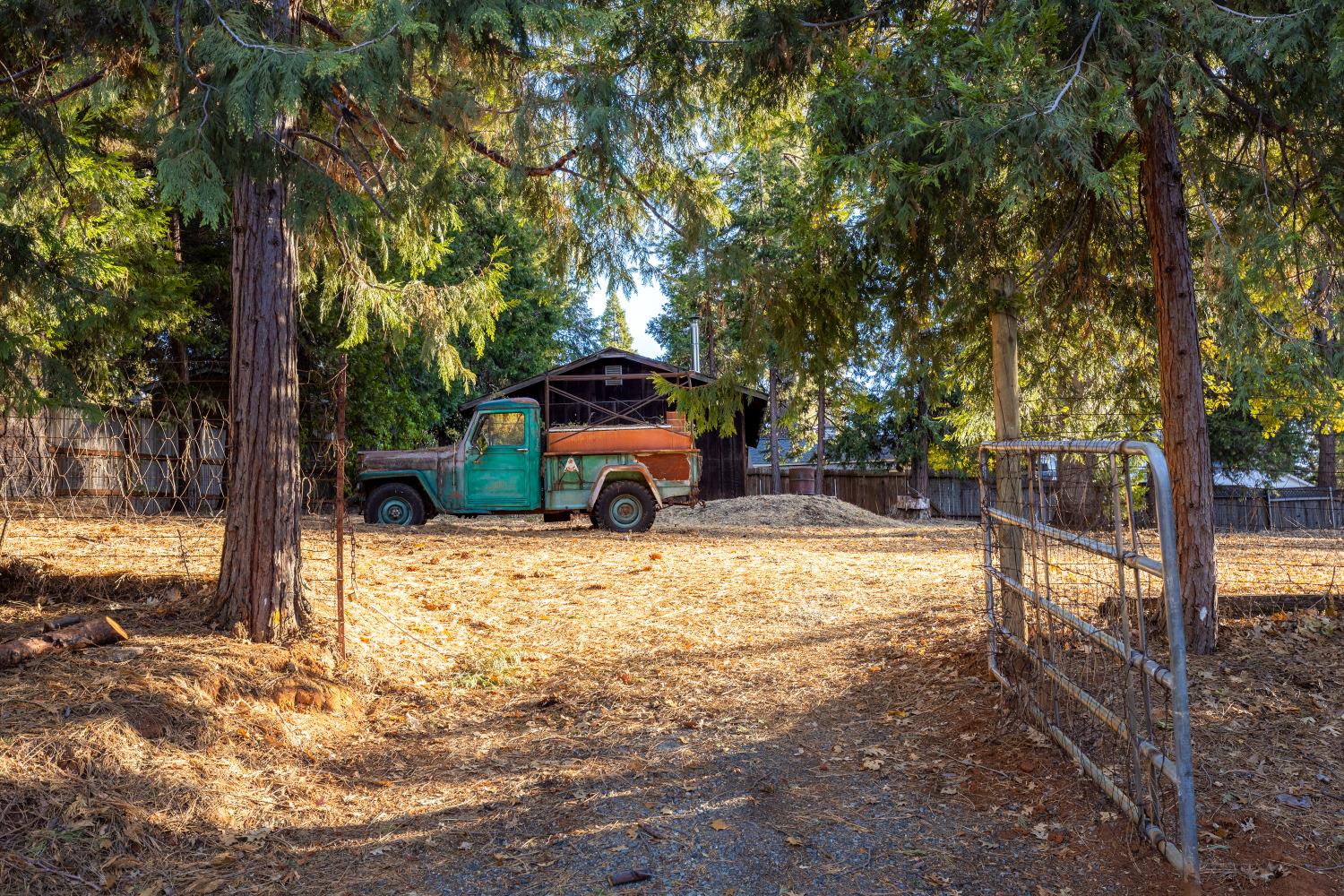 a view of a yard with large trees