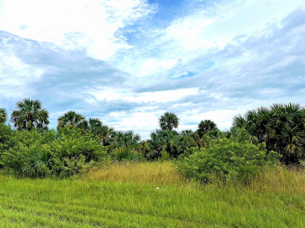 a view of a lake from a yard