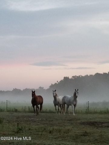 $800,000 | 5199 Tobacco Road | Sterlings Township - Robeson County