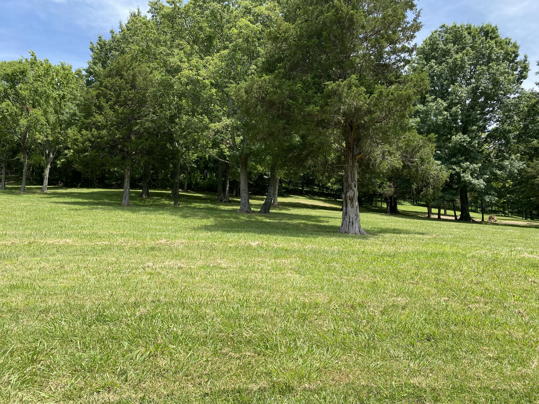 a view of outdoor space with deck and yard