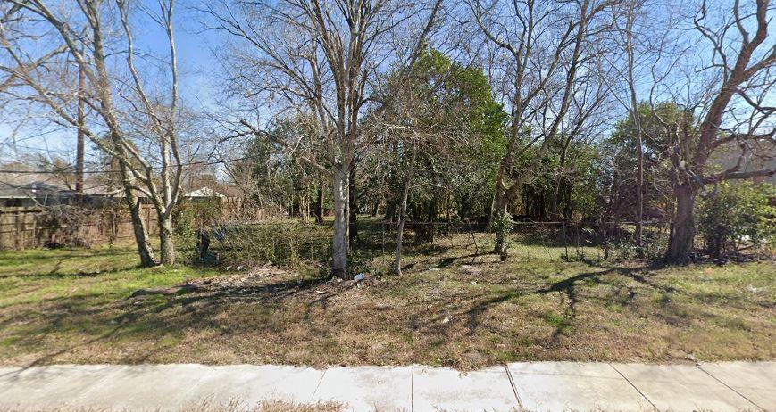 a view of a yard with a tree