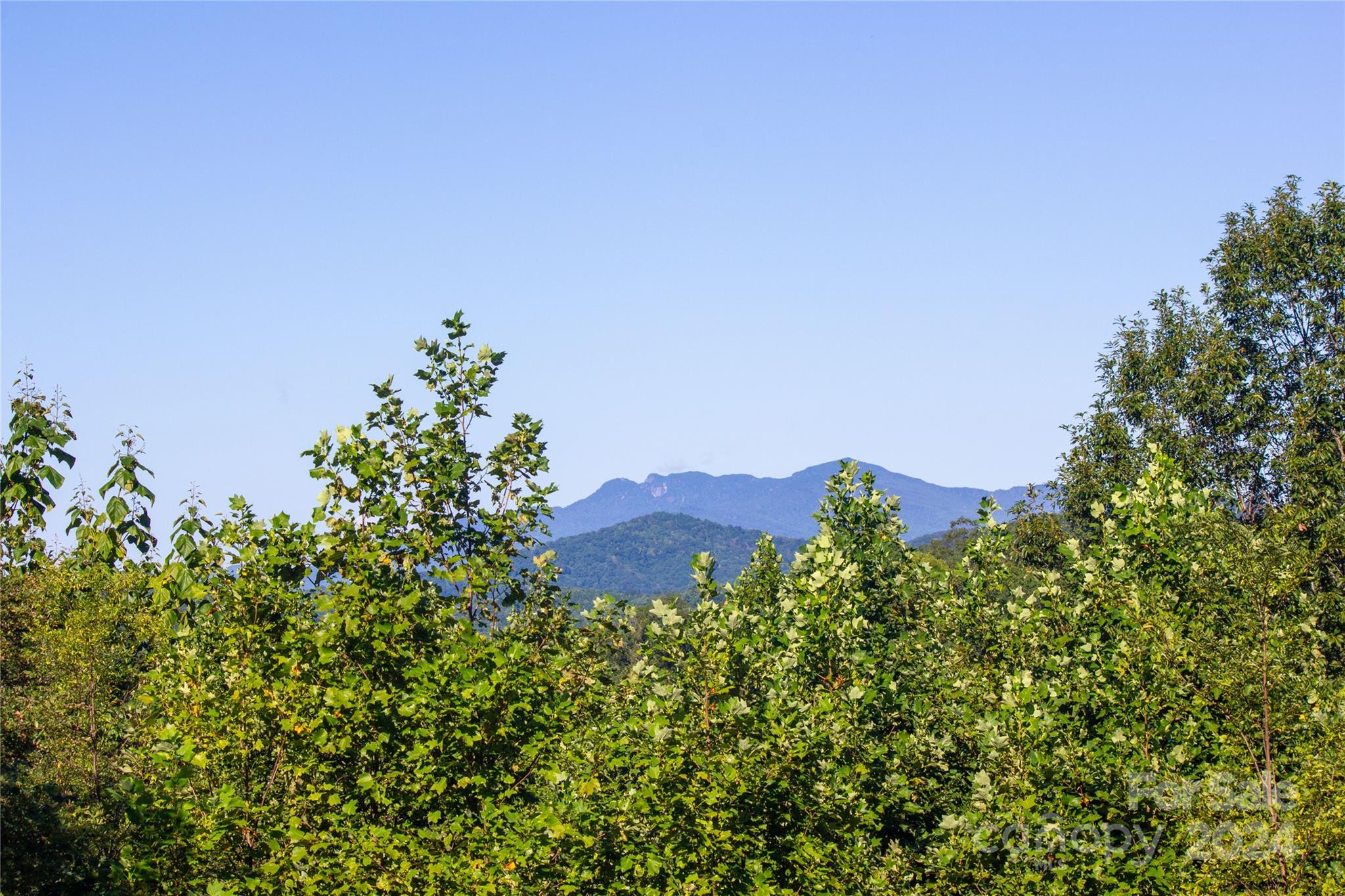 view of a field