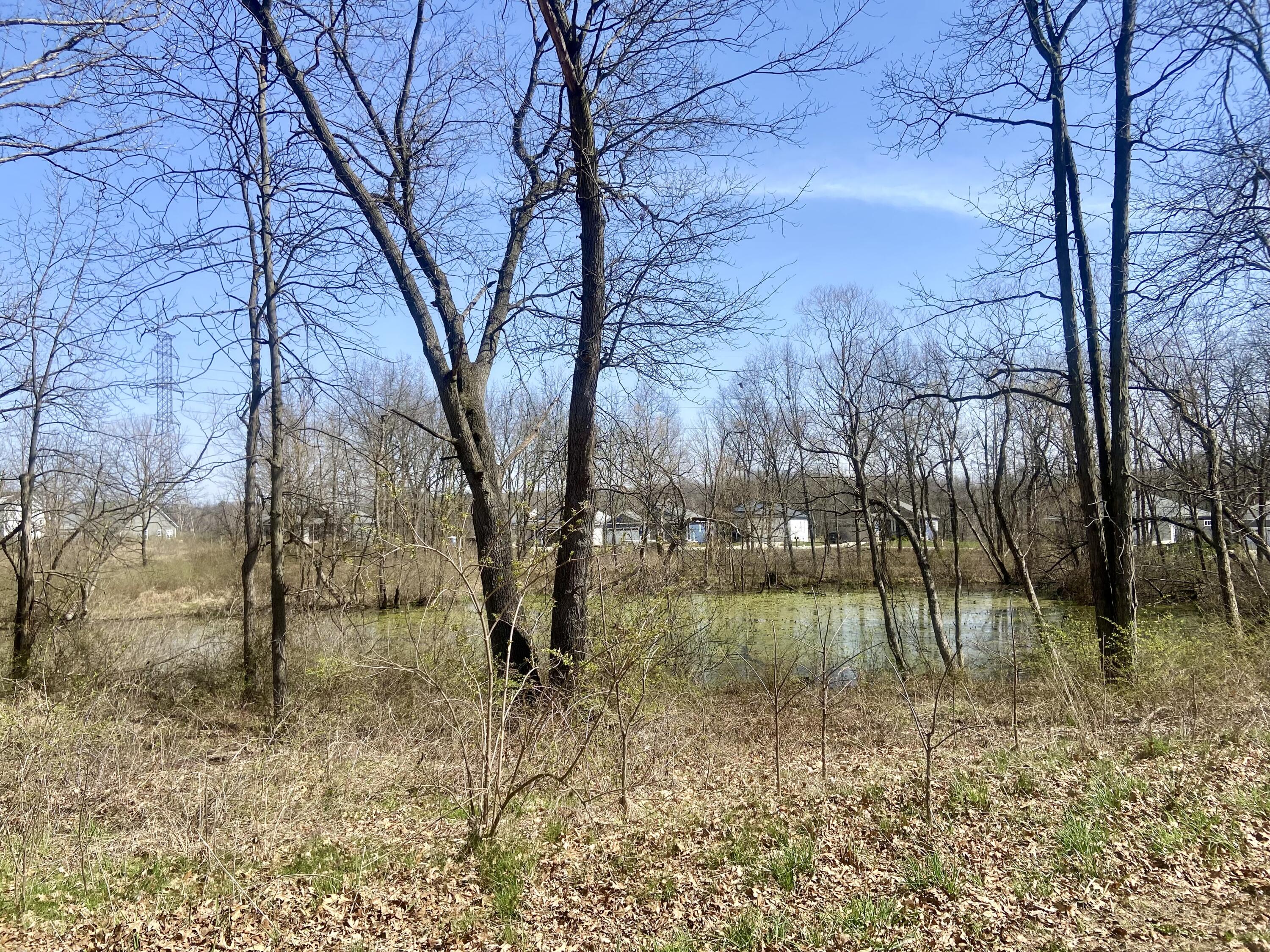 a view of backyard with green space