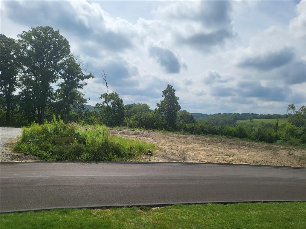 a view of a field with painting on the background