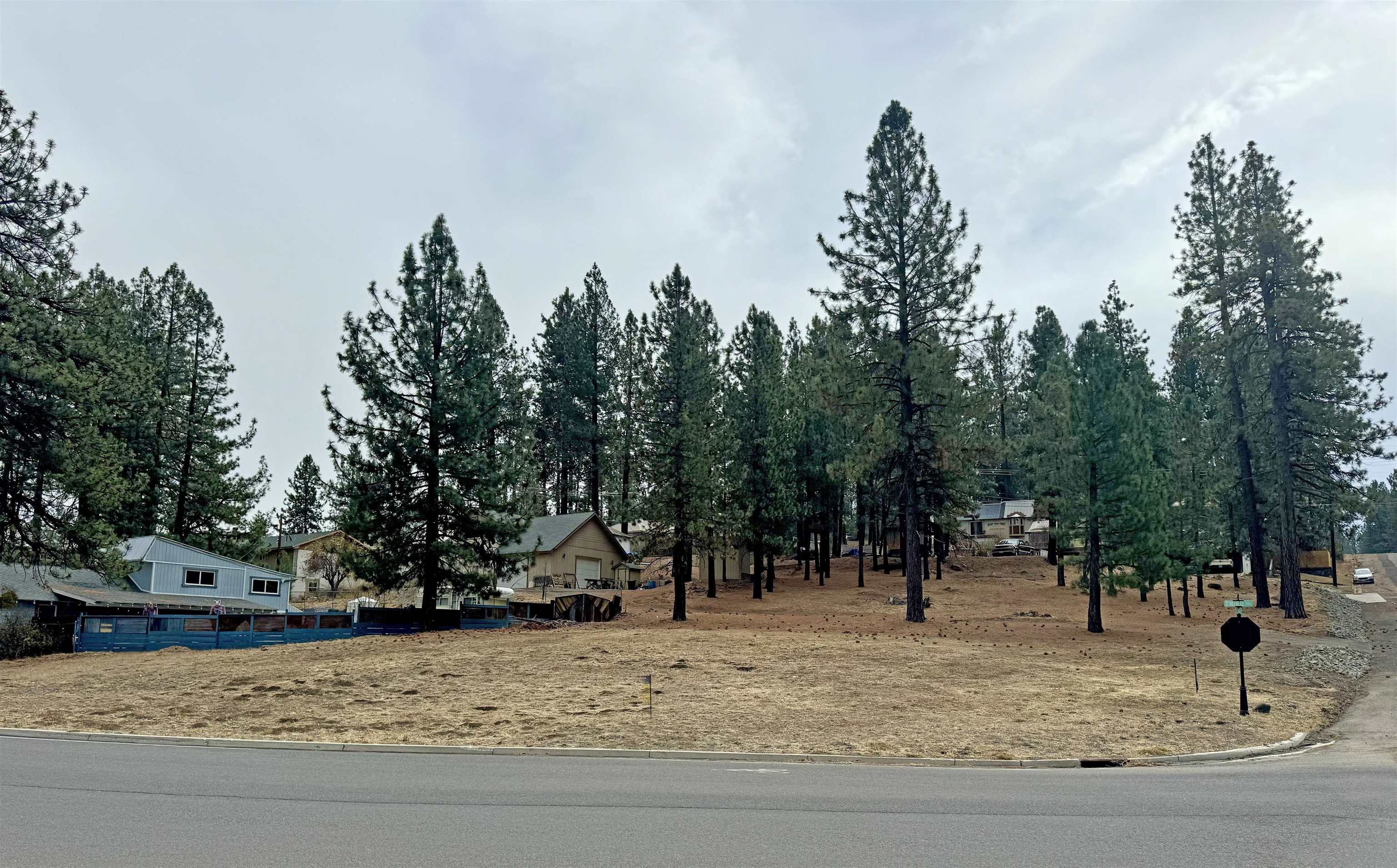 a view of road with trees