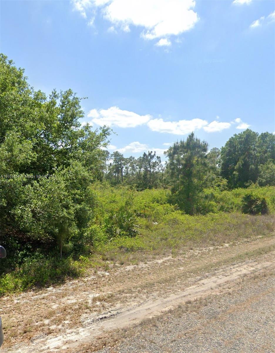 a view of a yard with an trees