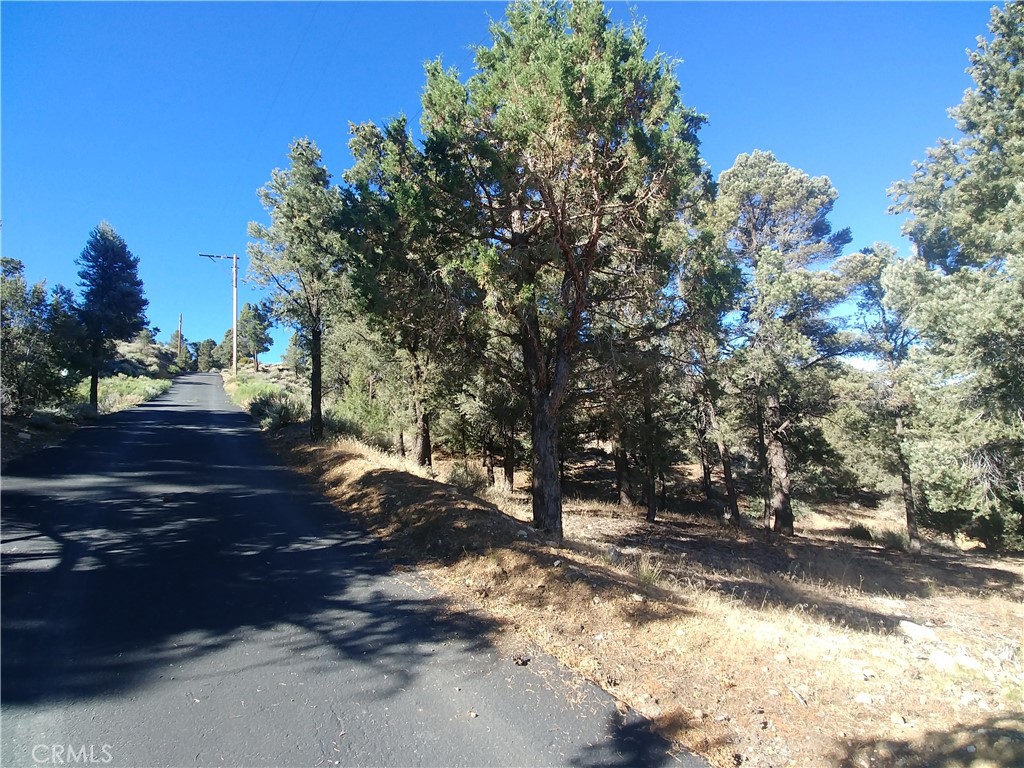 a view of road with trees