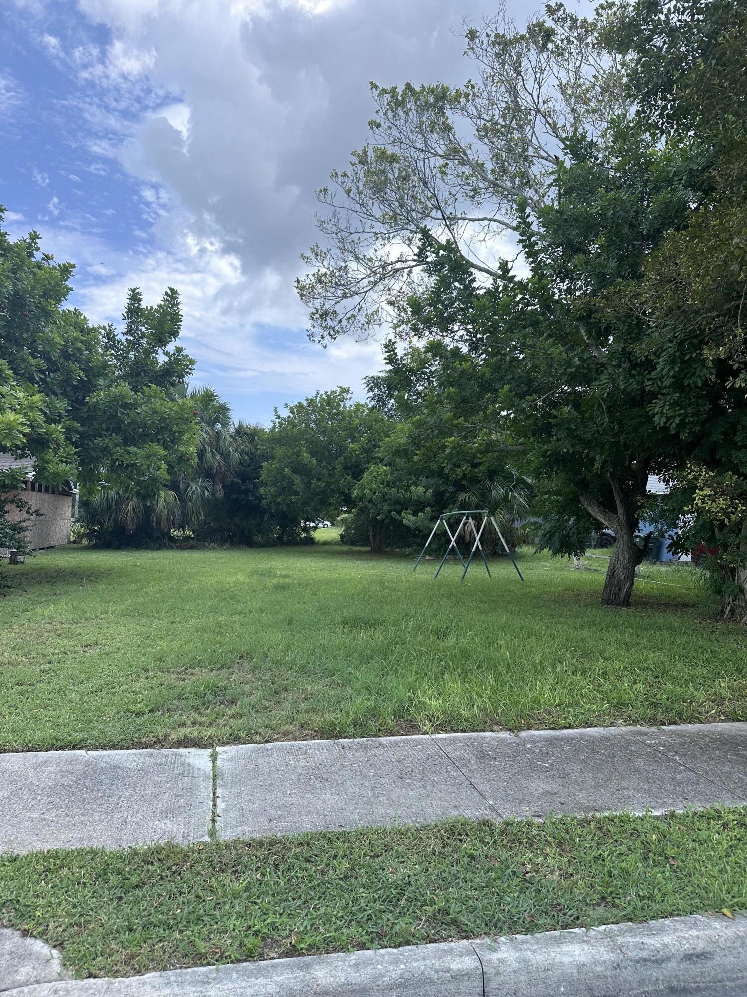 a view of a yard with plants and trees