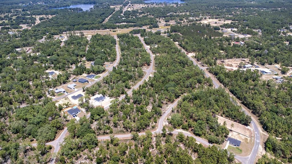 an aerial view of forest