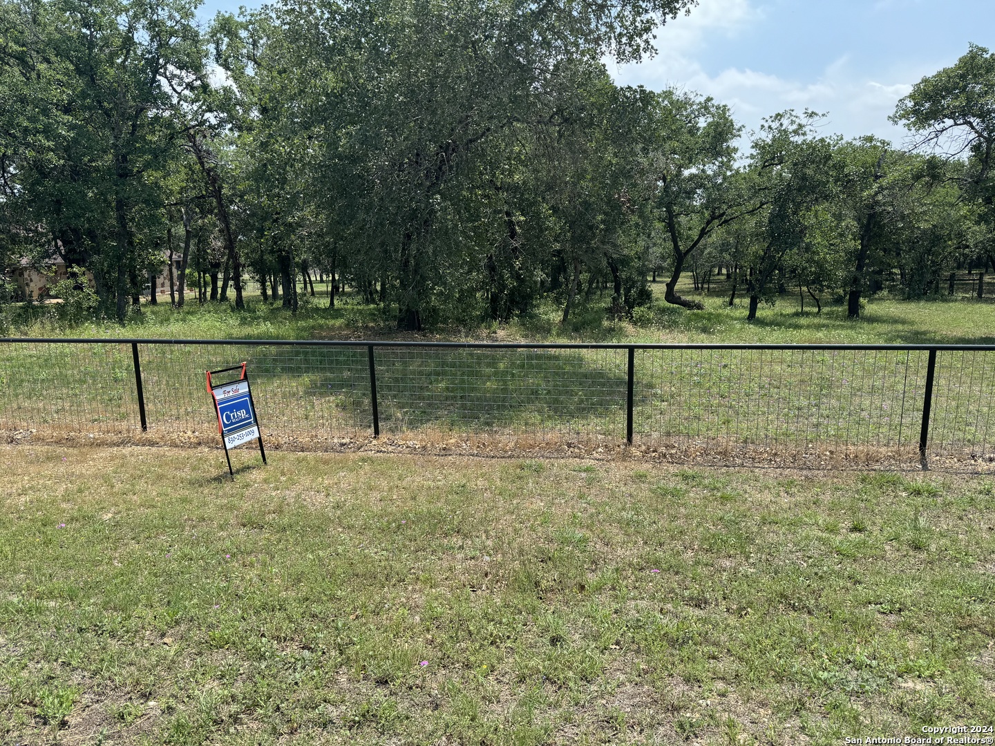 a view of park with bench