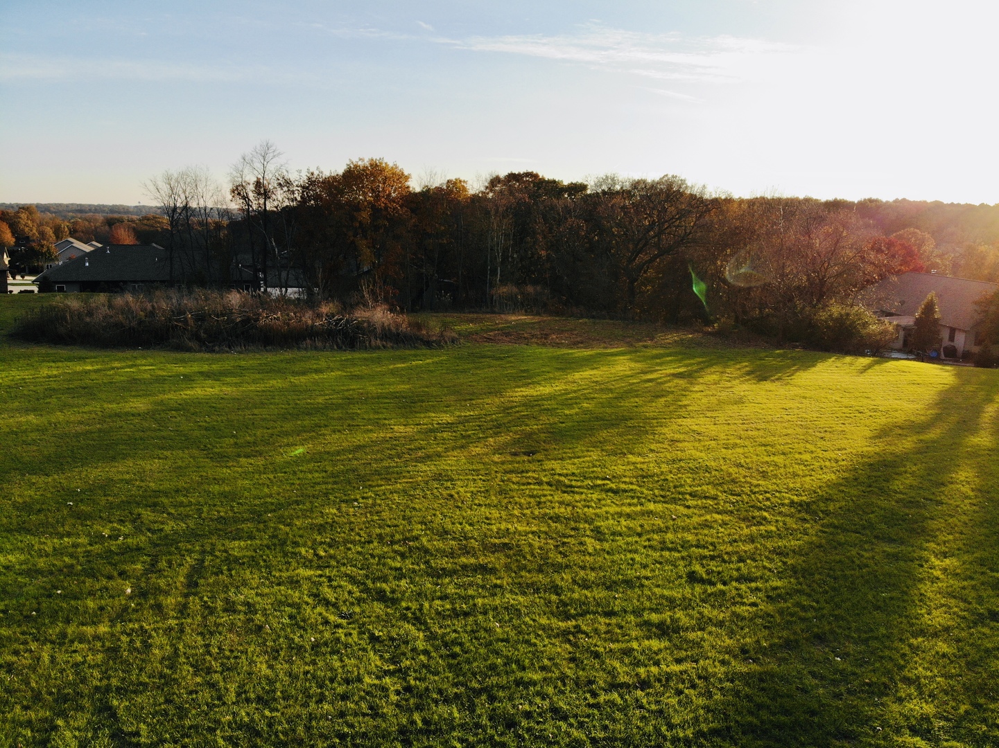 a view of a field with an ocean