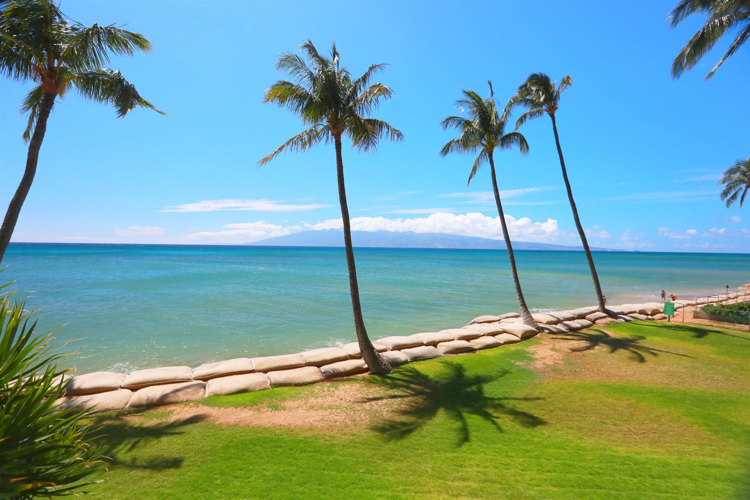 a view of an ocean and beach