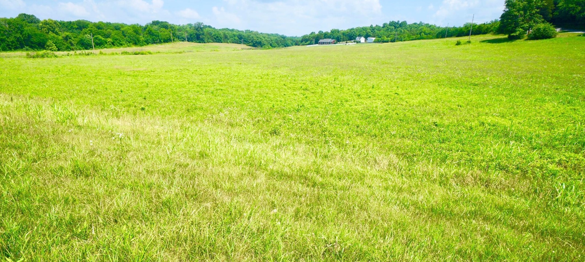 a view of an ocean from a yard