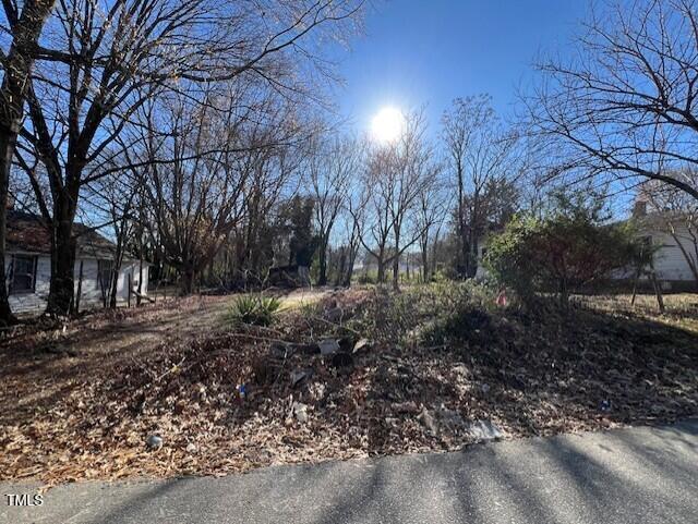 a view of a yard with plants and trees