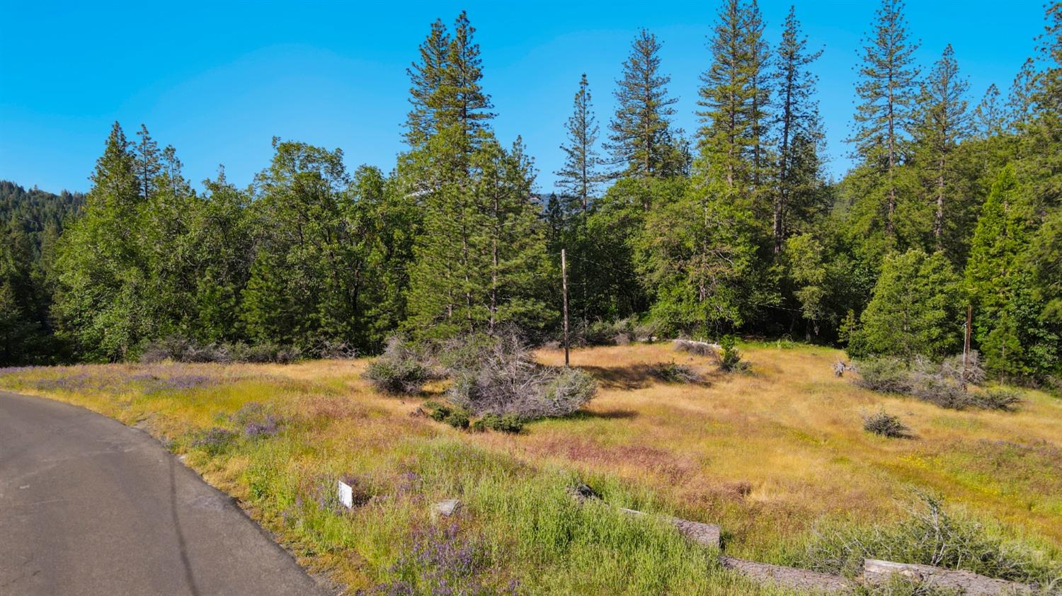 a view of a yard with mountain