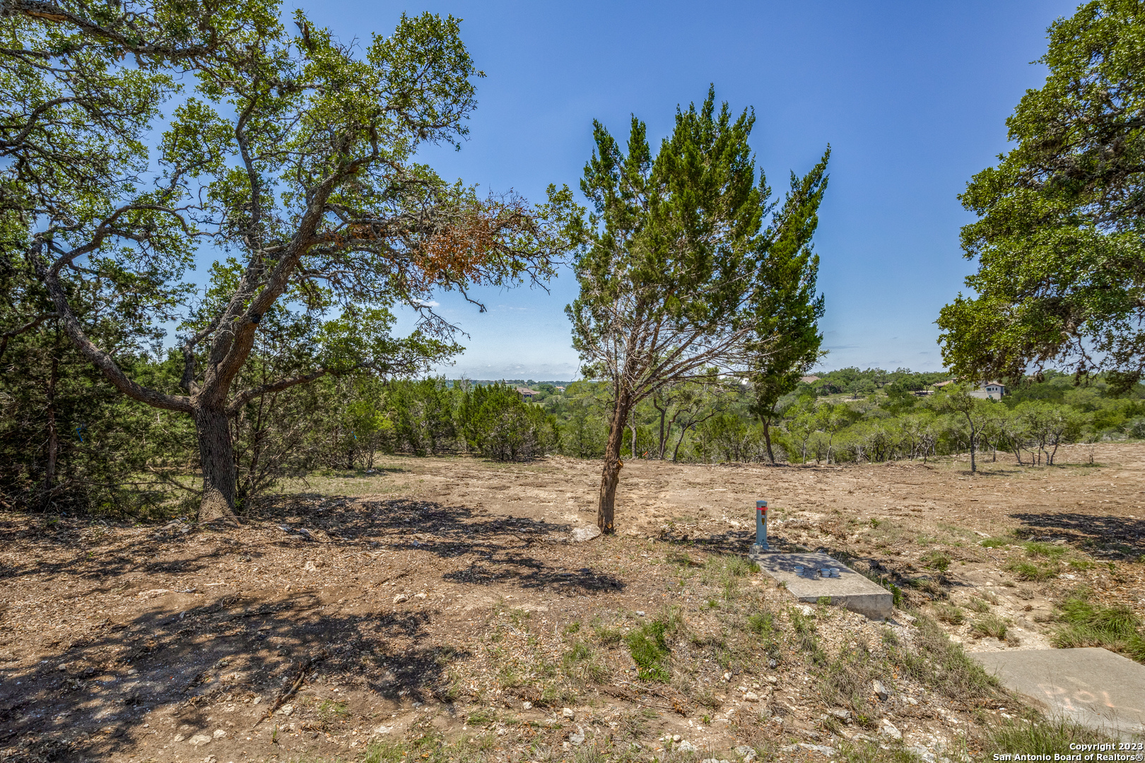 a view of dirt field with trees