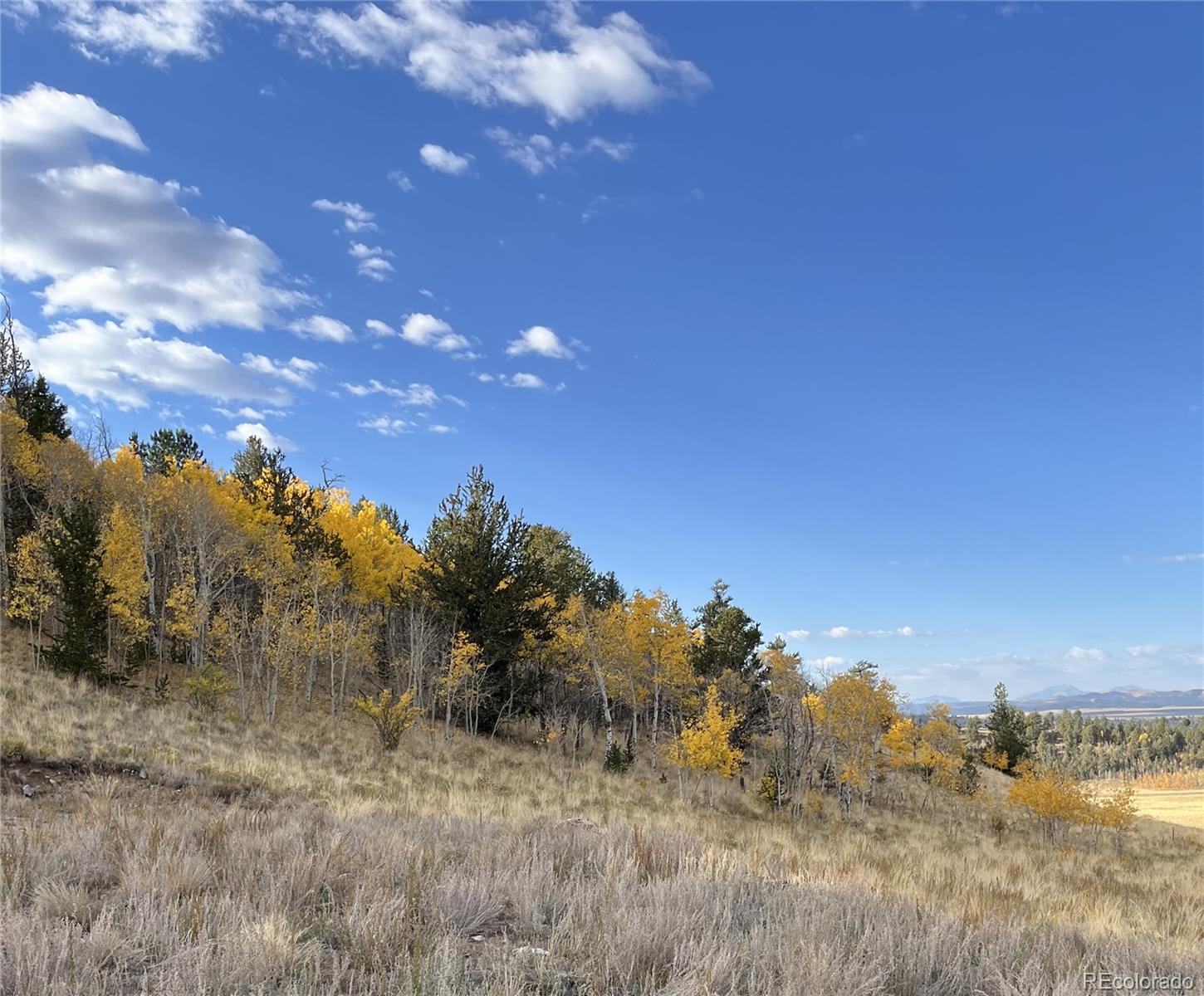 a view of a field with trees in the background