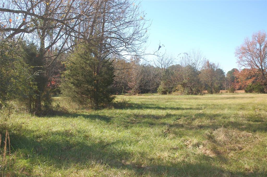 a view of outdoor space with trees all around