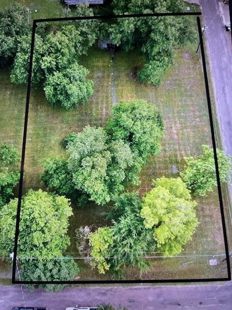 a view of a garden with a lake