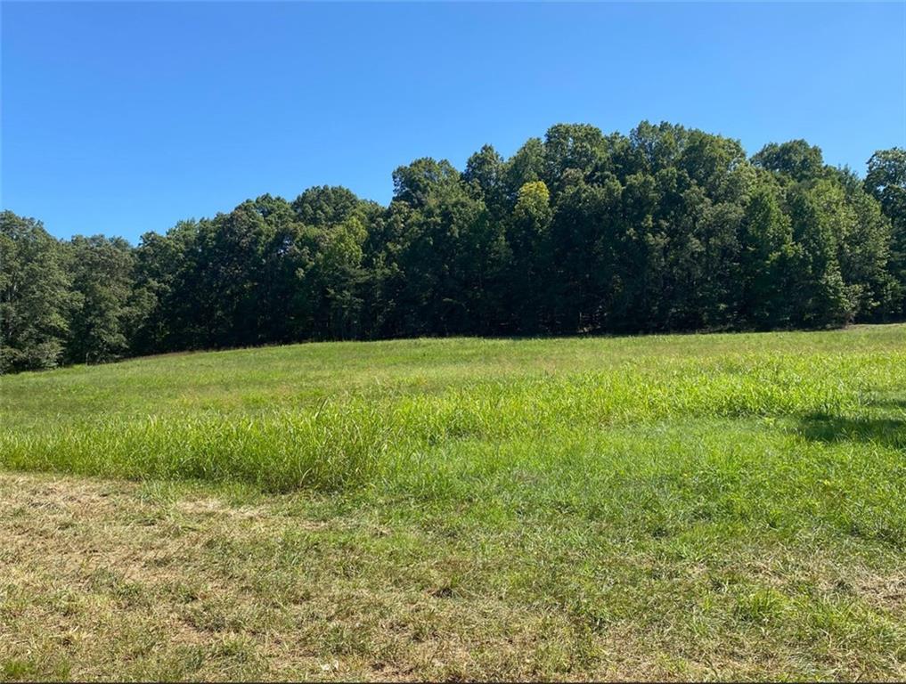 a view of a field with an trees in the background