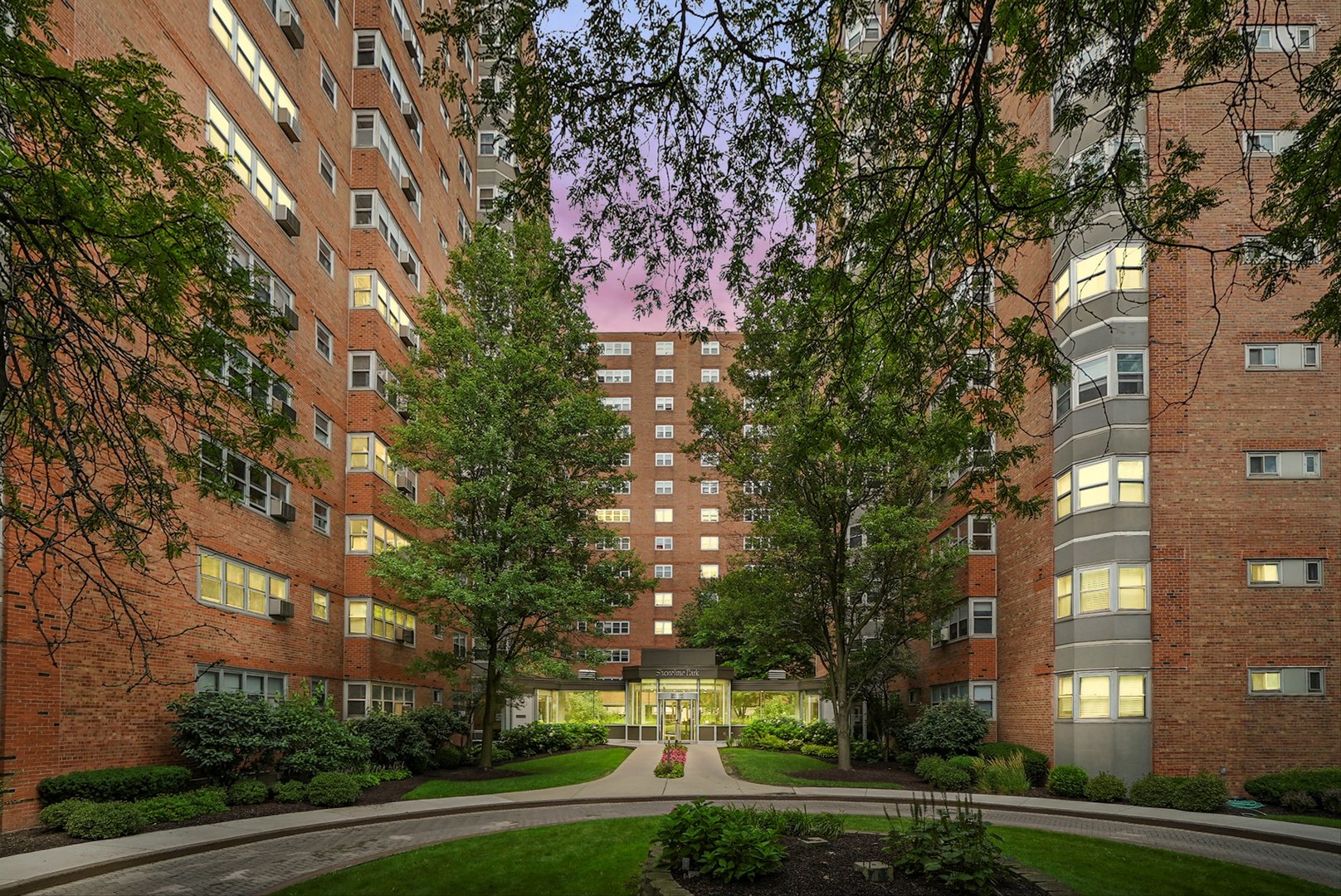 a city view with tall trees