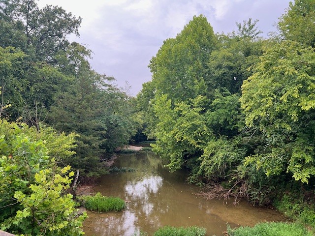 a view of a lake from a yard