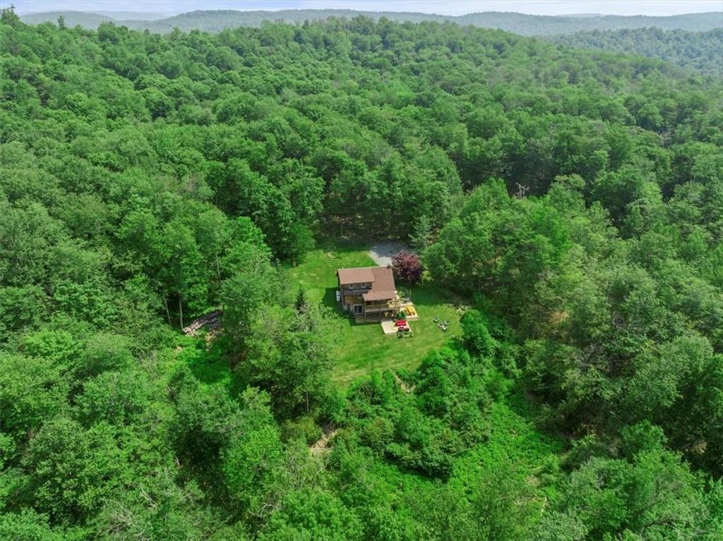 a backyard of a house with a yard and tree s