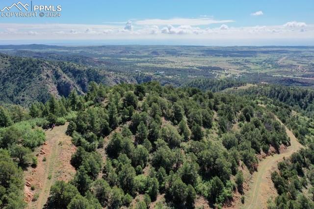 an aerial view of ocean and trees