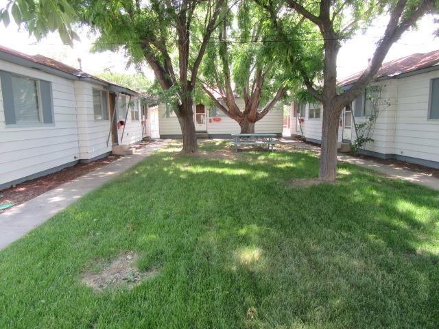 a view of a house with backyard and a tree