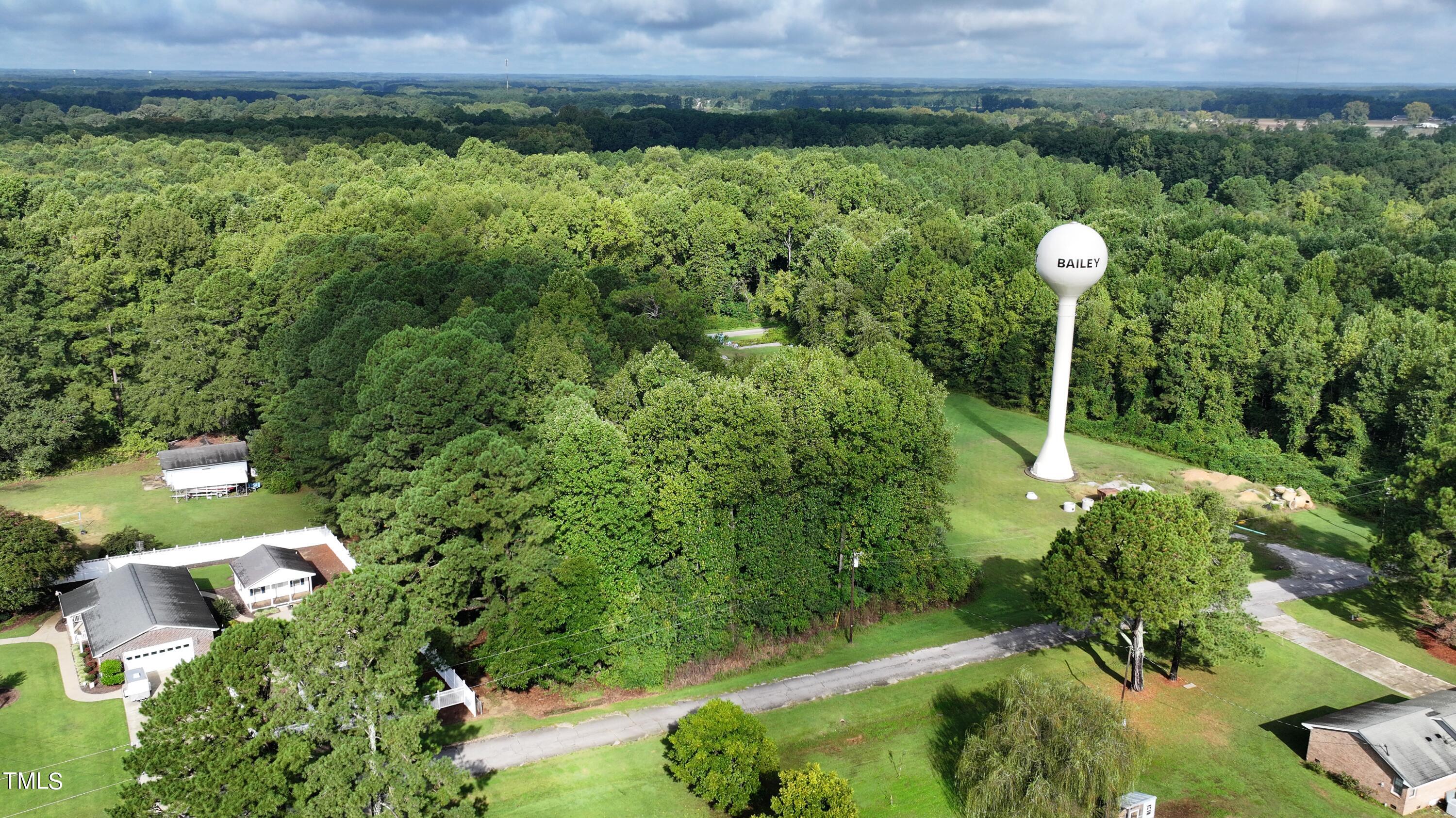 a view of a lush green forest with large trees