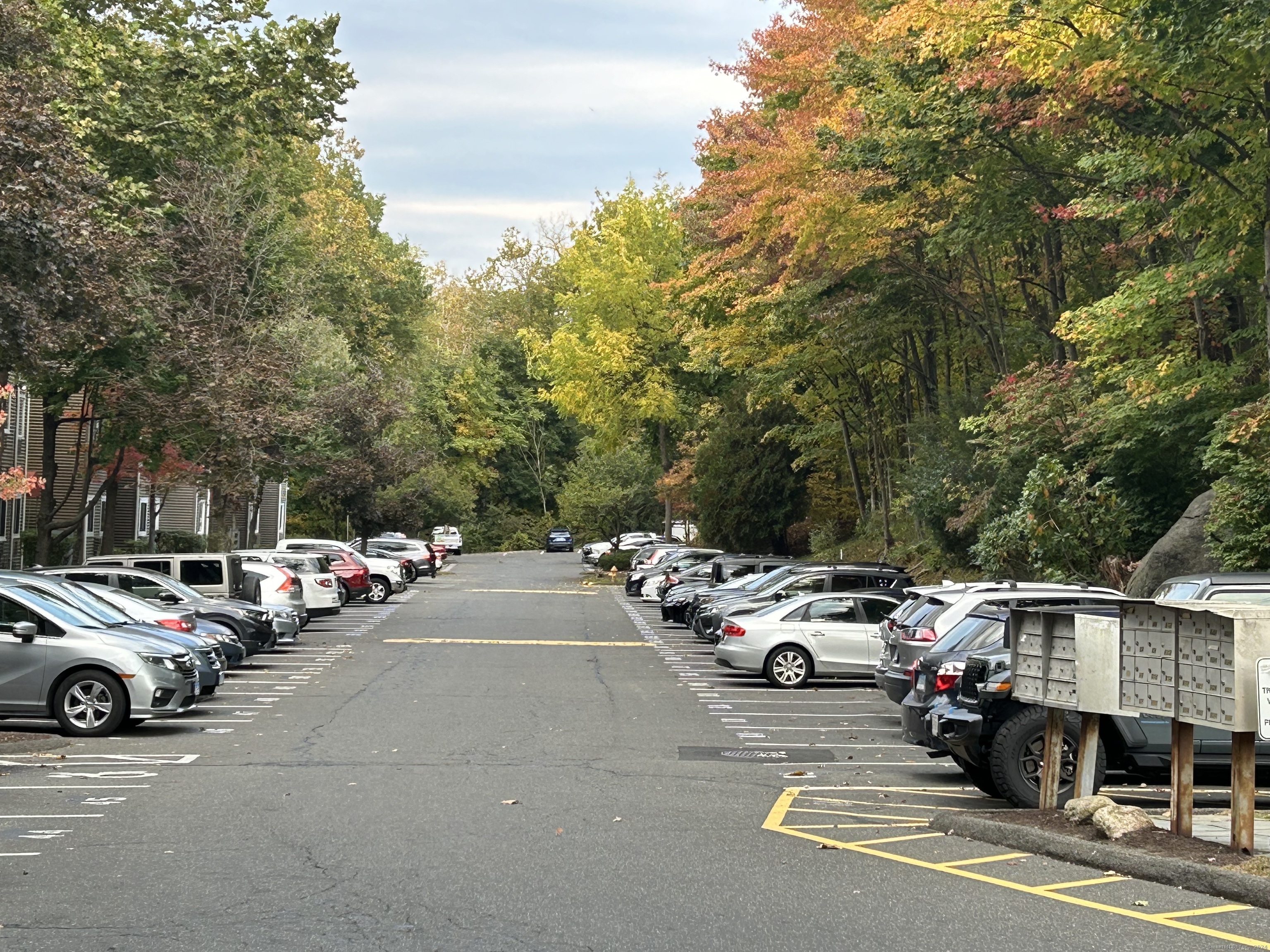 a view of the street