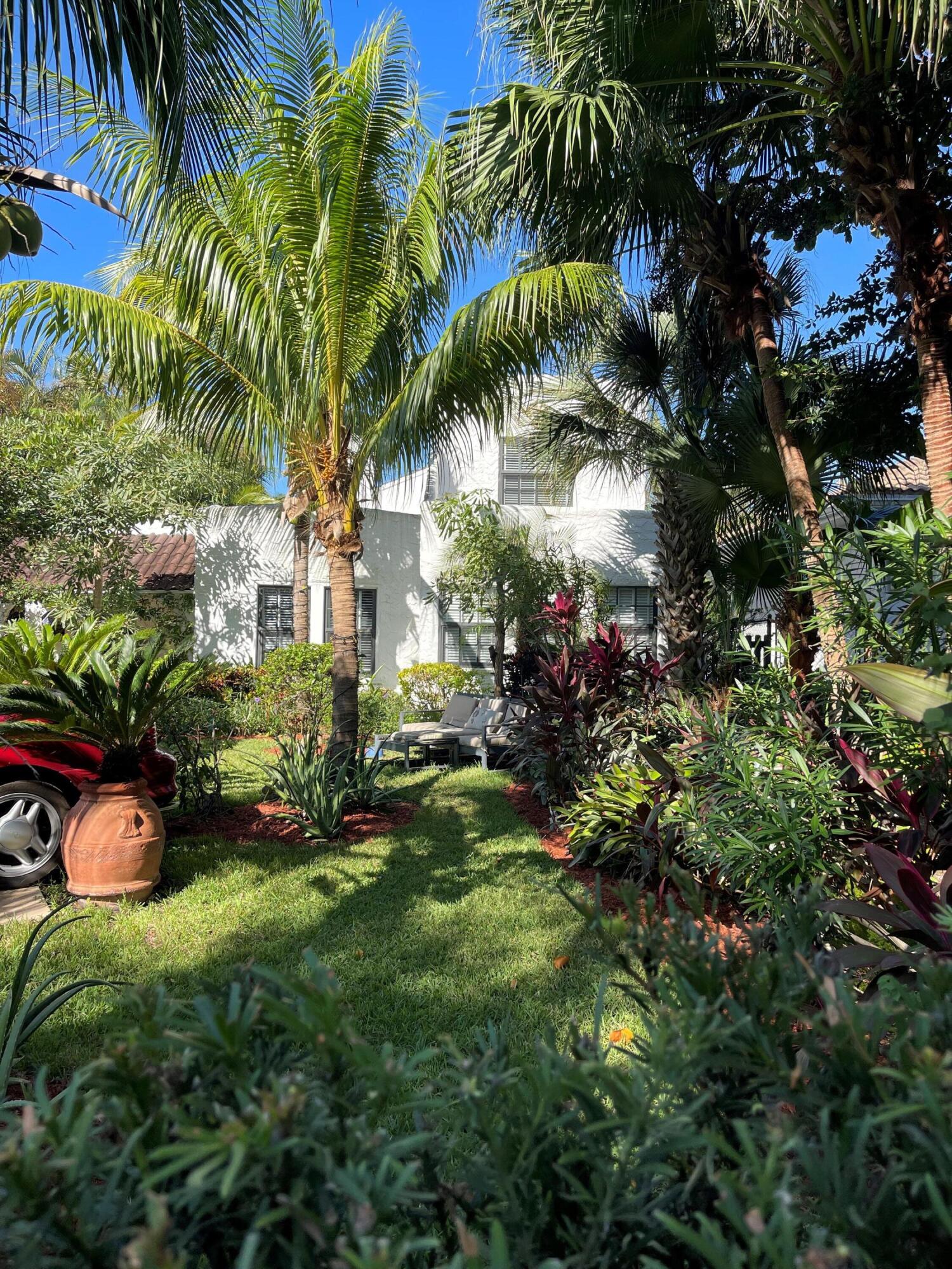 a view of backyard of house