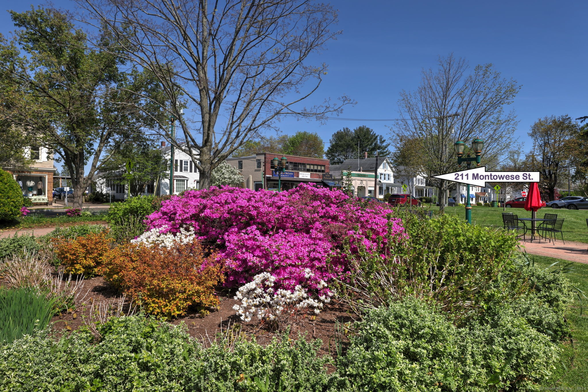 a front view of a house with yard and tree s