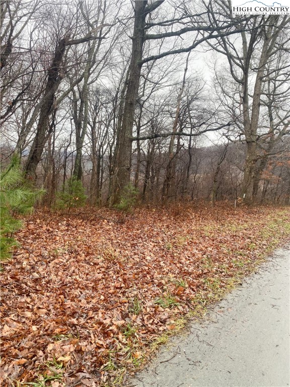 a view of a yard with trees