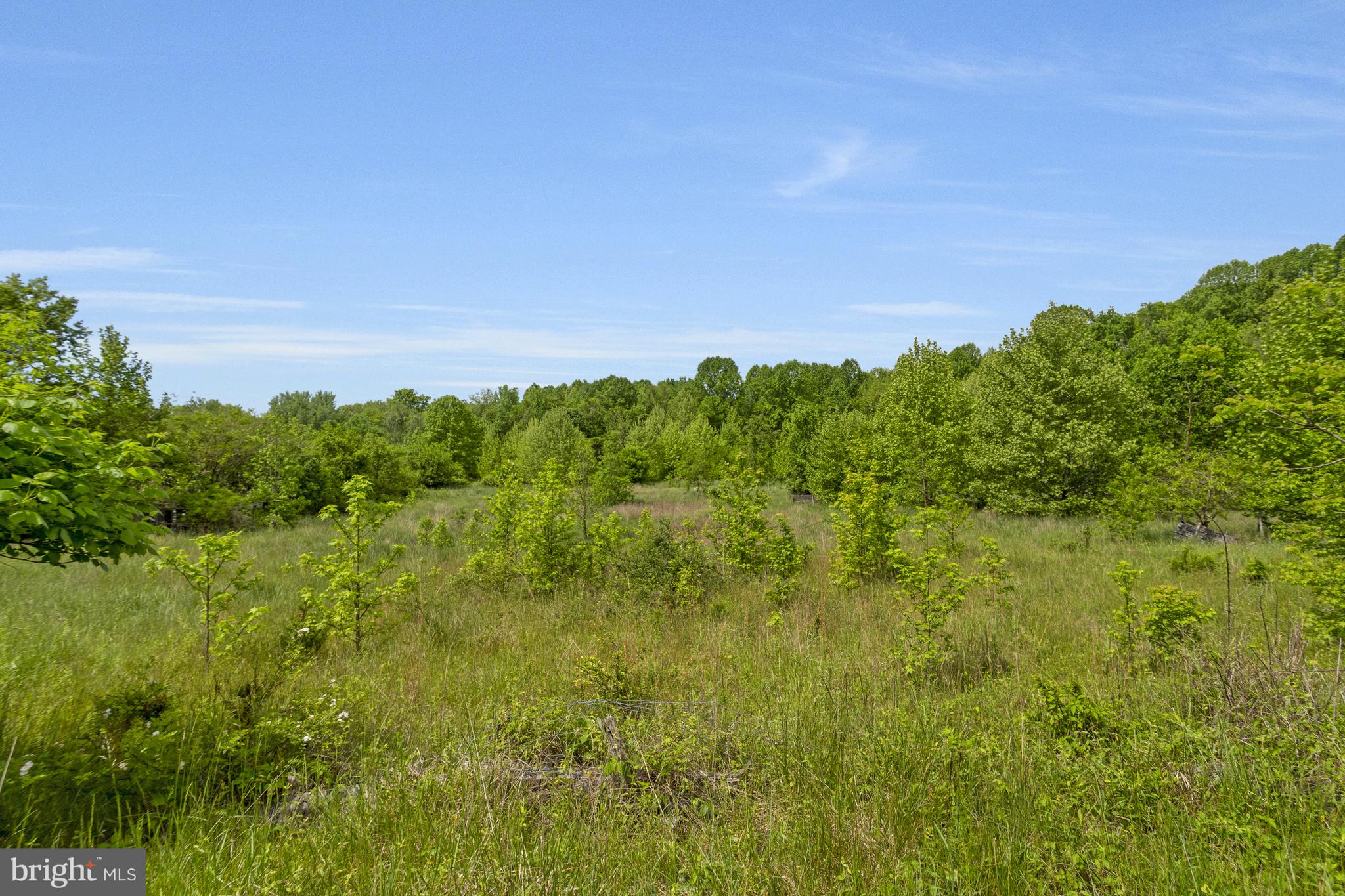 a view of a green field with lots of bushes