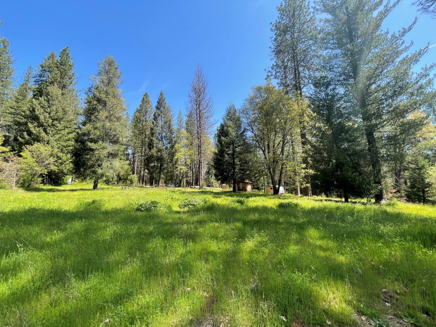 a view of a grassy field with trees in the background