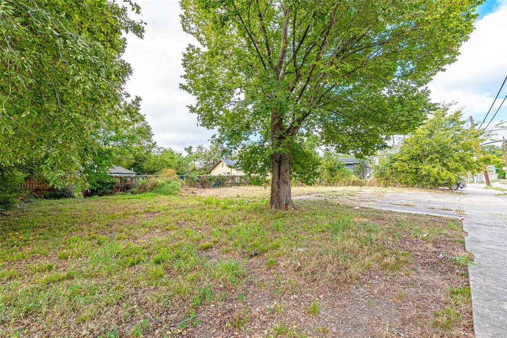 a view of a yard with a tree