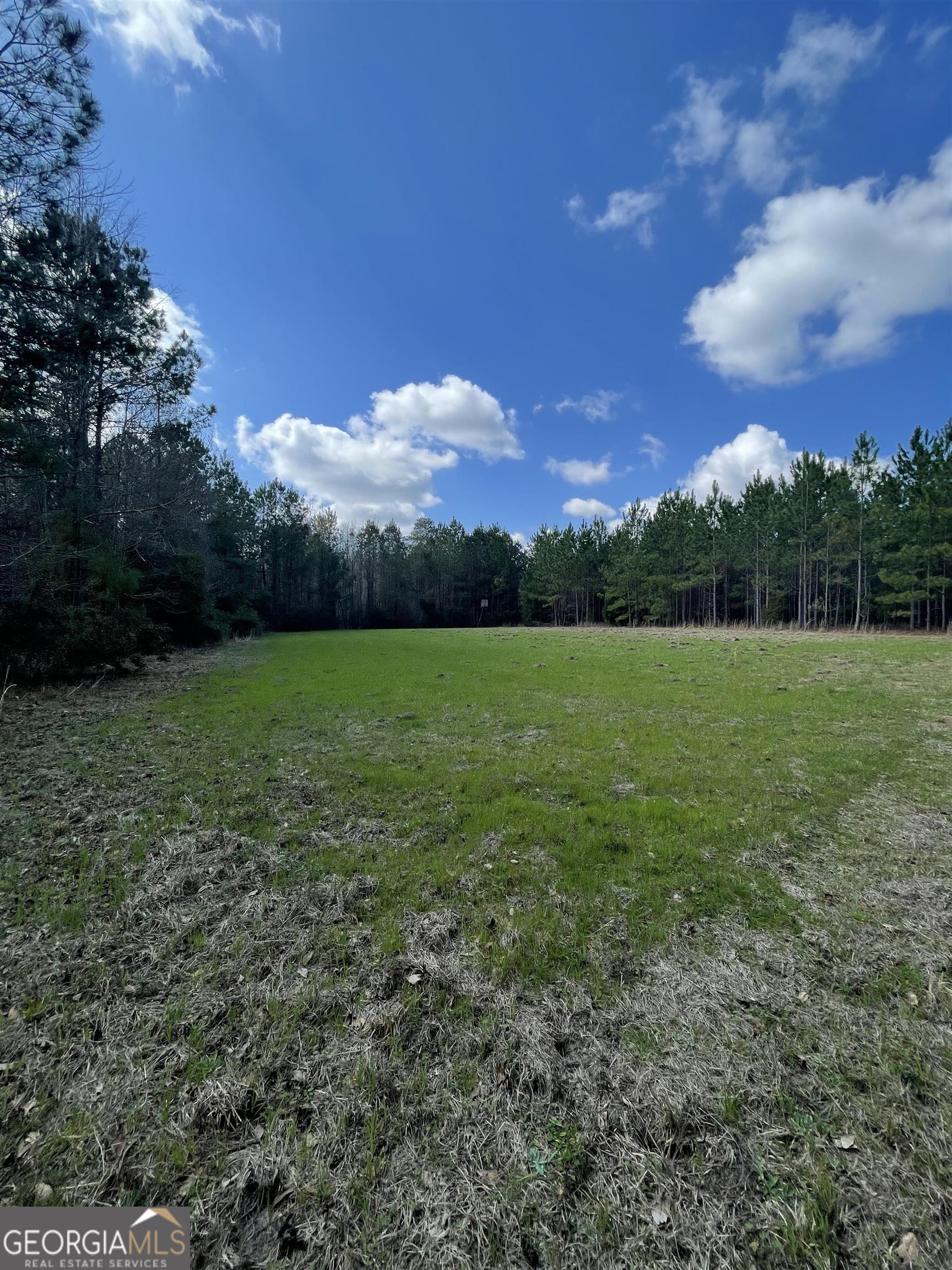 a view of a grassy field with trees in the background