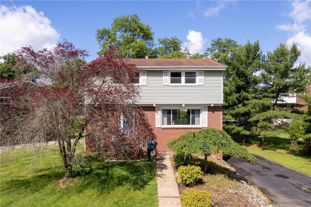 a house that has a tree in it