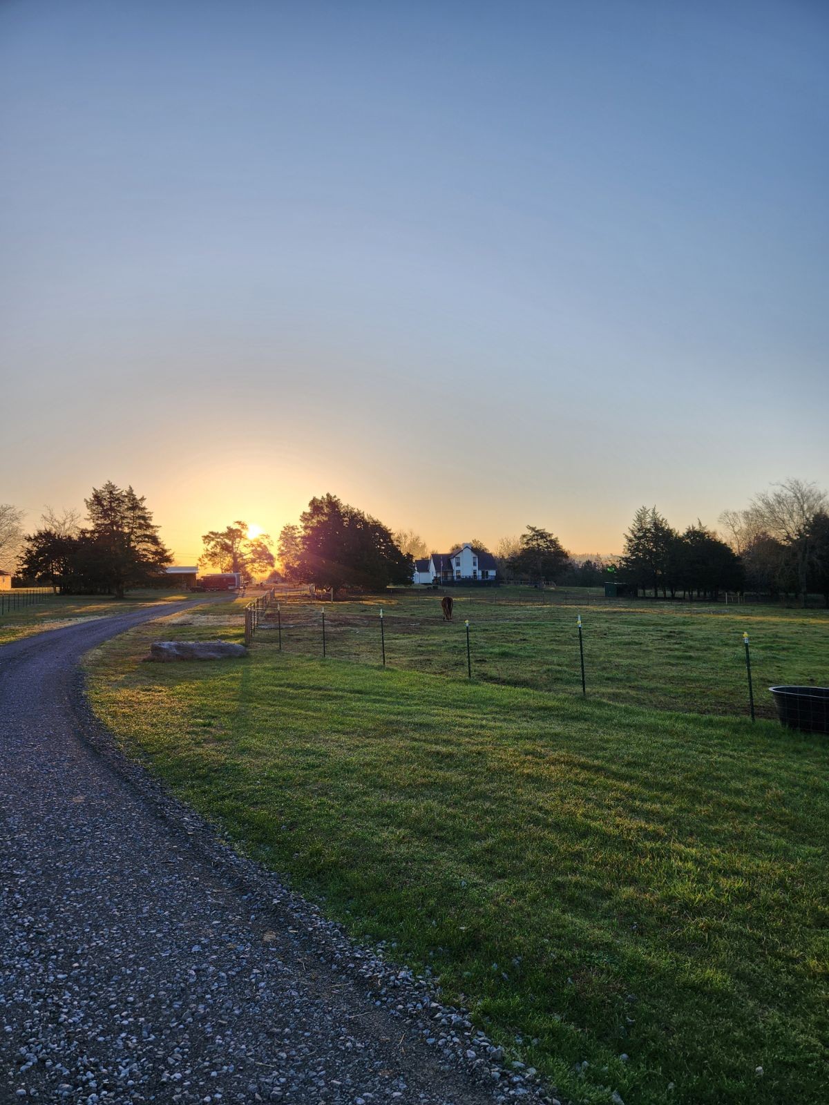 a view of a grassy field with an trees