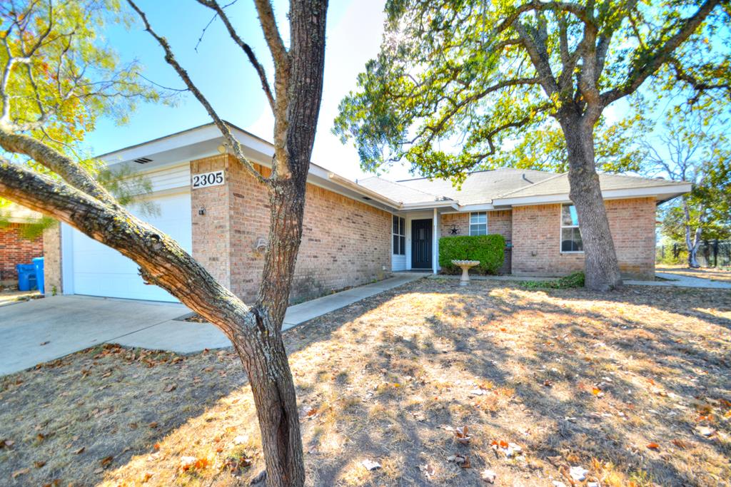 a view of a house with a tree in front of it