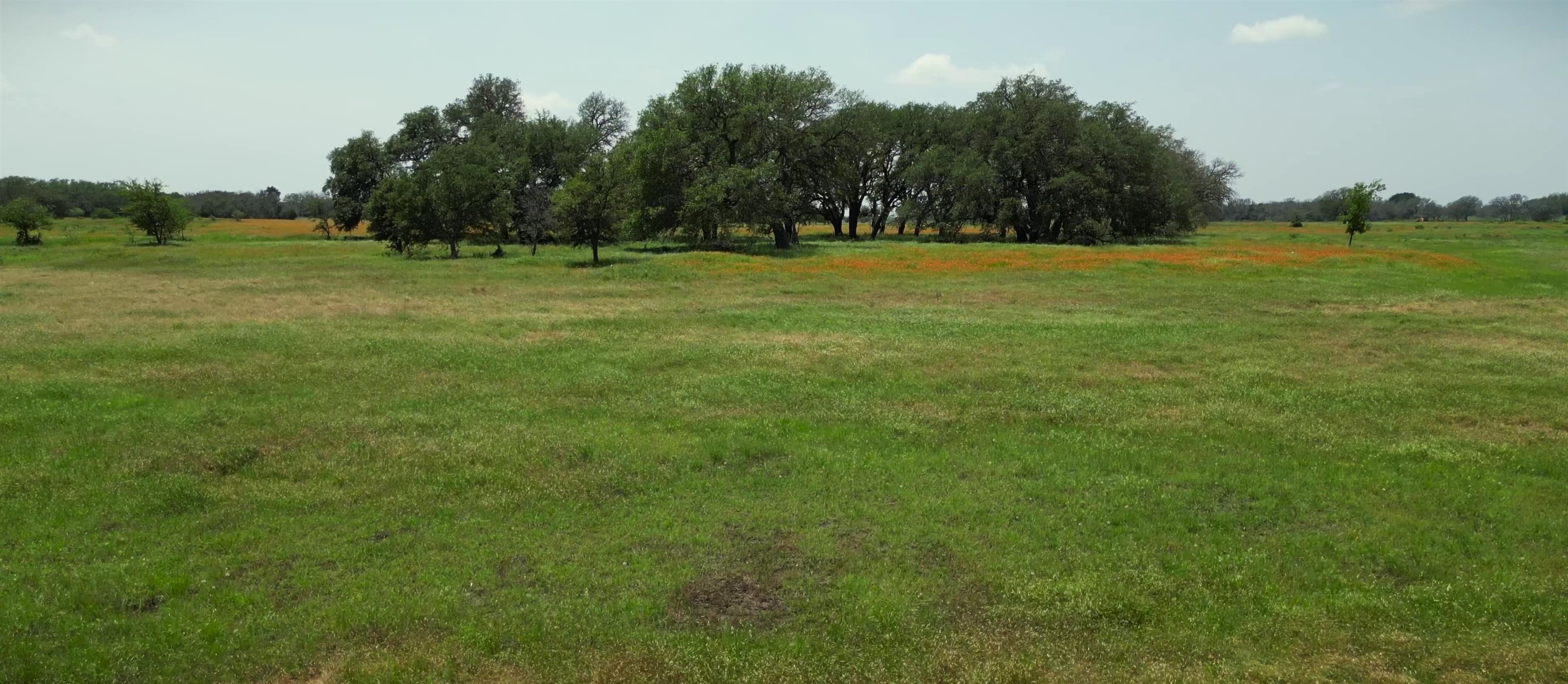 a view of a green field with trees in the background