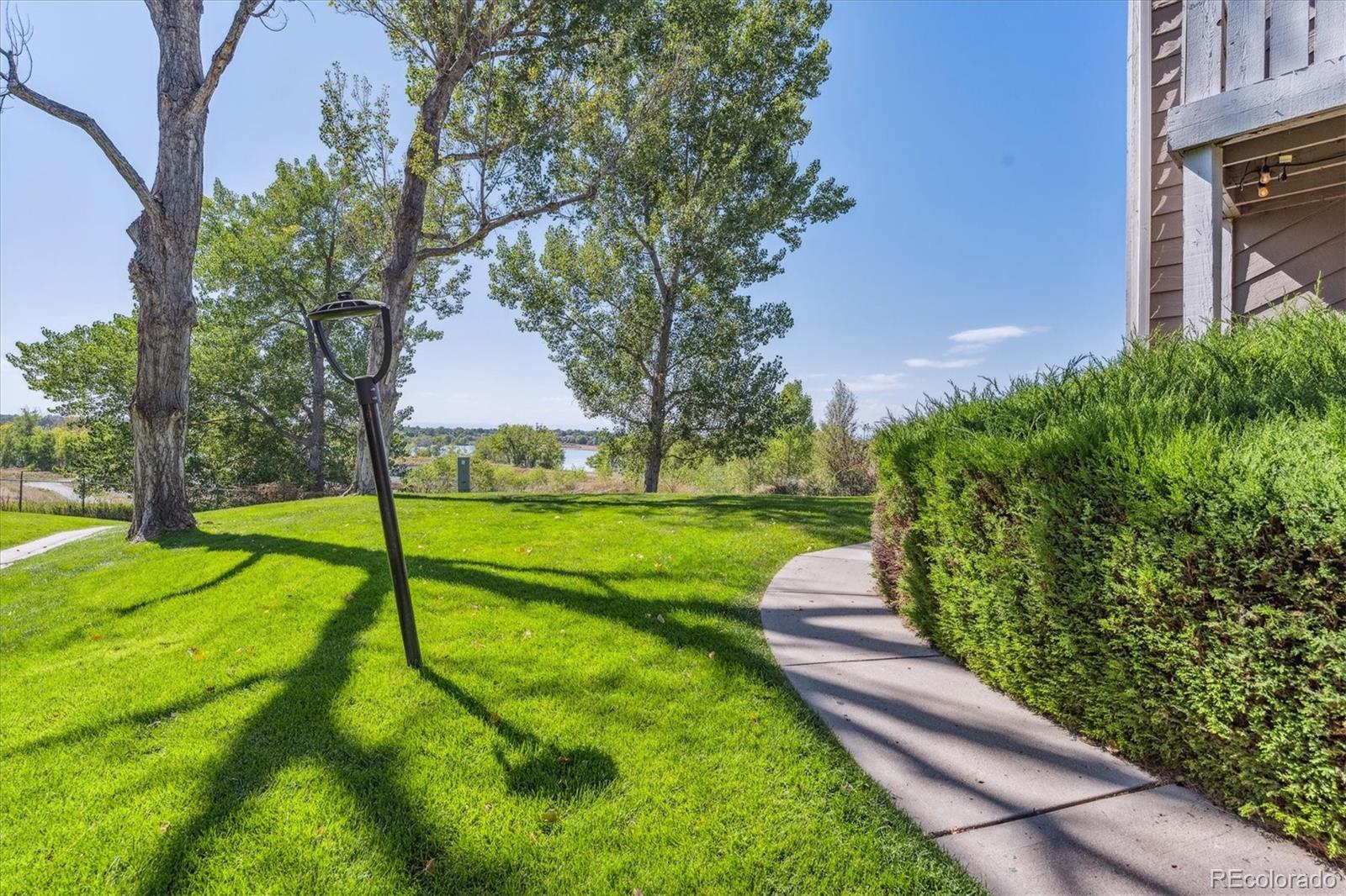 a view of a park with large trees