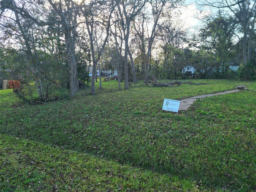 a view of a green field with trees