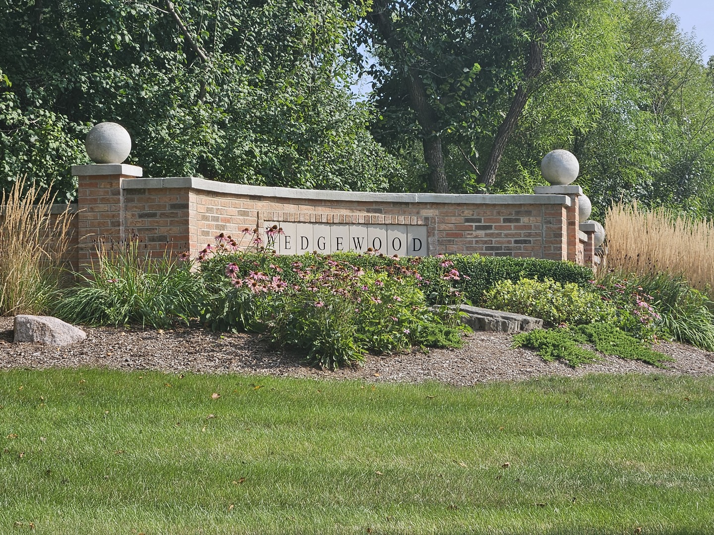 a view of a backyard with plants