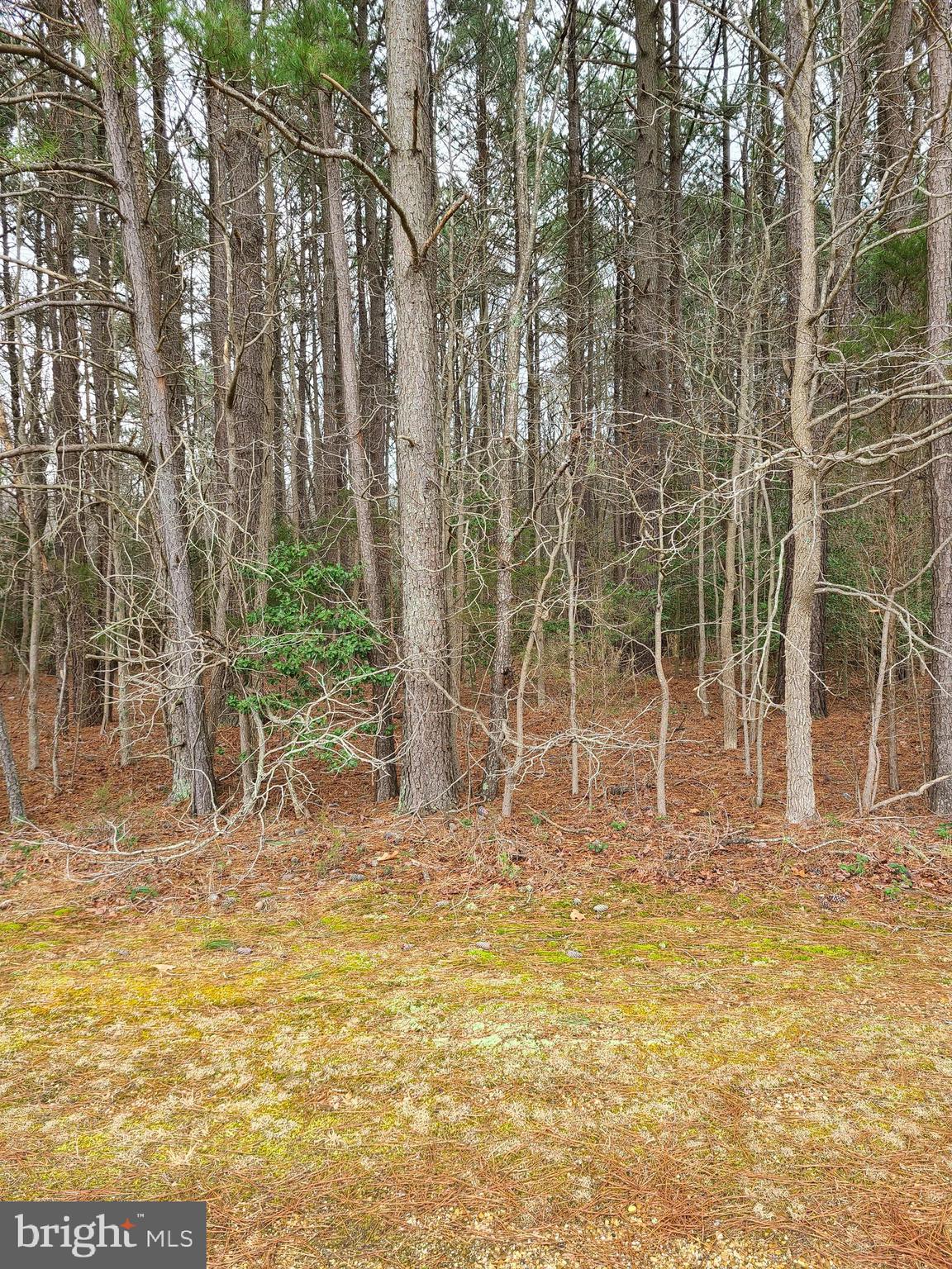 a view of outdoor space with wooden fence