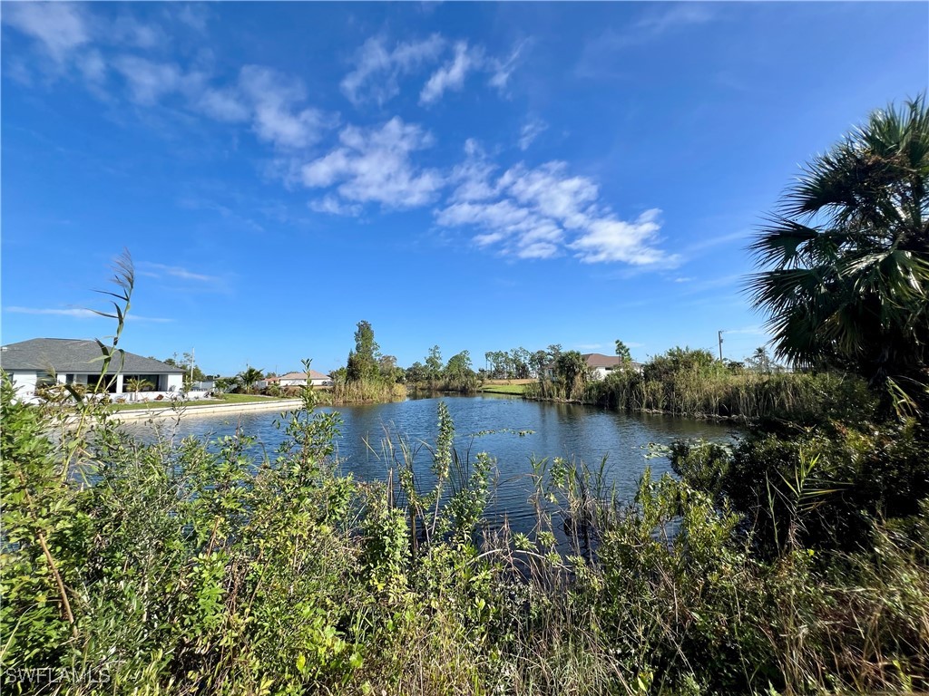 a view of a lake from a yard